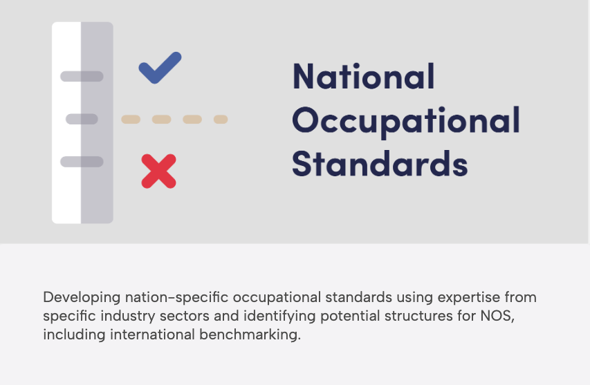 UK Skills Partnership - National Skills Standards expertise